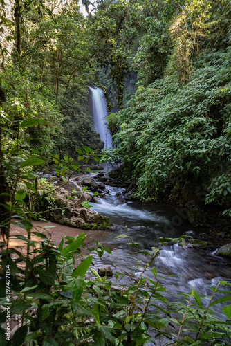 Waterfall in the tropical rainforests of Costa Rica