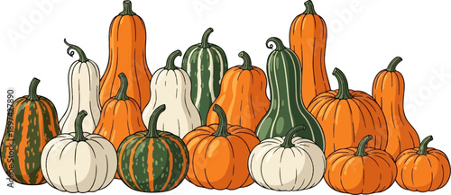 A bountiful harvest of pumpkins and gourds in assorted shapes, sizes, and colors