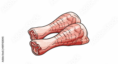 Two raw meat drumsticks illustrated with a cartoonish style on a white background