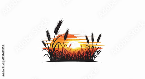 Silhouette of ripe wheat stalks against a vibrant sunset sky, casting a warm glow