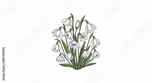 A stylized illustration of a cluster of white snowdrops with green stems and leaves on a white background