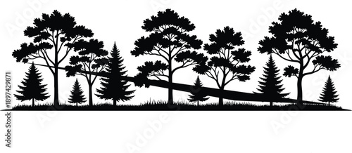 Black forest landscape silhouette collection featuring pine trees deciduous foliage park bench and camping trailer under night sky isolated on white background for nature design.