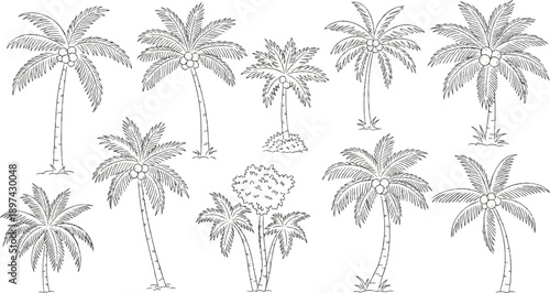 A collection of palm trees sketched in black and white