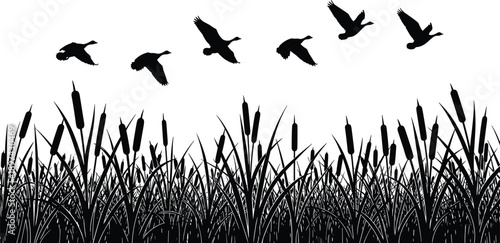 Detailed Black Silhouette Vector Illustration Featuring a Flock of Wild Ducks Flying Over a Wetland Marsh With Reeds and Tall Grass,