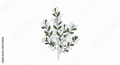 Stylized illustration of a branch with dark green leaves and tiny white buds on a white background