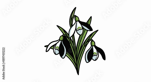Stylized illustration of a bouquet of three white and green snowdrop flowers with black outlines