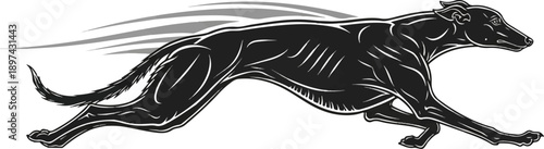 Sleek black dog with grey streaks behind it, running fast