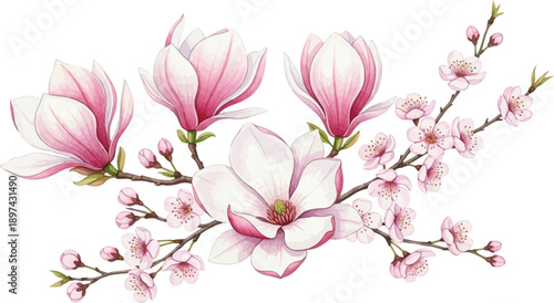 Delicate watercolor illustration of blooming magnolia and cherry blossoms on branches