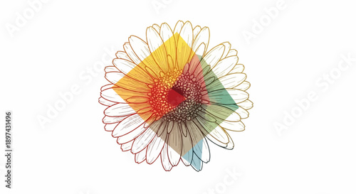 Delicate line drawing of a flower with overlapping translucent colored geometric shapes