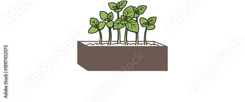 A hand-drawn illustration of small green sprouts emerging from a brown rectangular planter filled with white soil