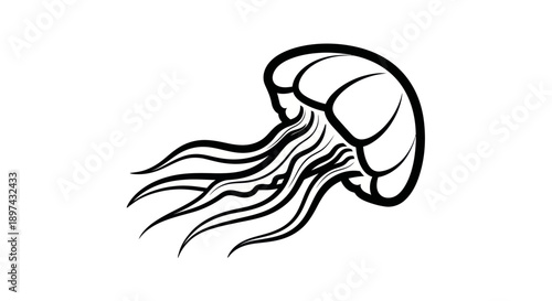 Stylized jellyfish illustration on white