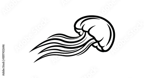Stylized jellyfish illustration on white