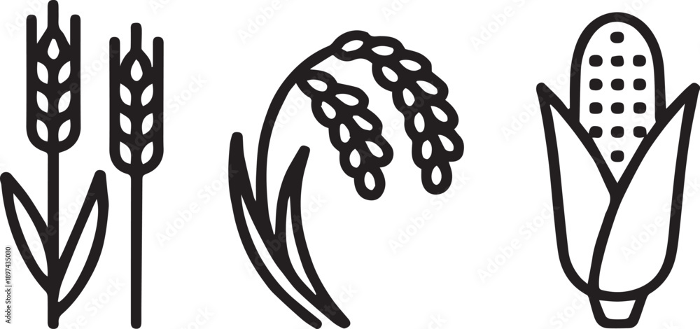 Obraz premium Wheat and Crop Line Icon – Agriculture, Farming, Nature Symbol