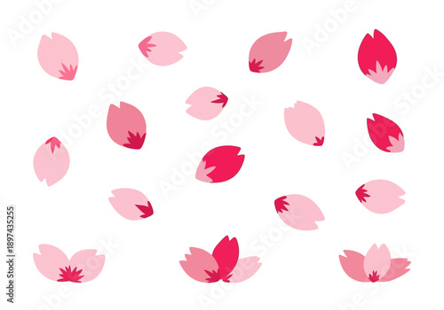 Collection of beautiful pink cherry blossom petals floating and falling gently