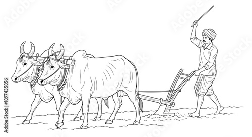 Farmer Plowing Field with Oxen, Traditional Agriculture, Rural Life, Sustainable Farming, Heritage, Hard Work, Growth, Harvest,