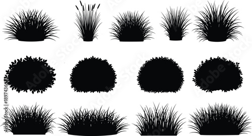 Black garden shrub and wild grass silhouettes collection, decorative bush and field plant elements set, landscaping vegetation bundle for nature park design,