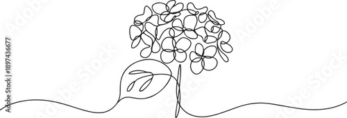 Single continuous line drawing beauty fresh hortensia for home wall decor art poster print. Decorative hydrangea flower concept. one line Icon drawing