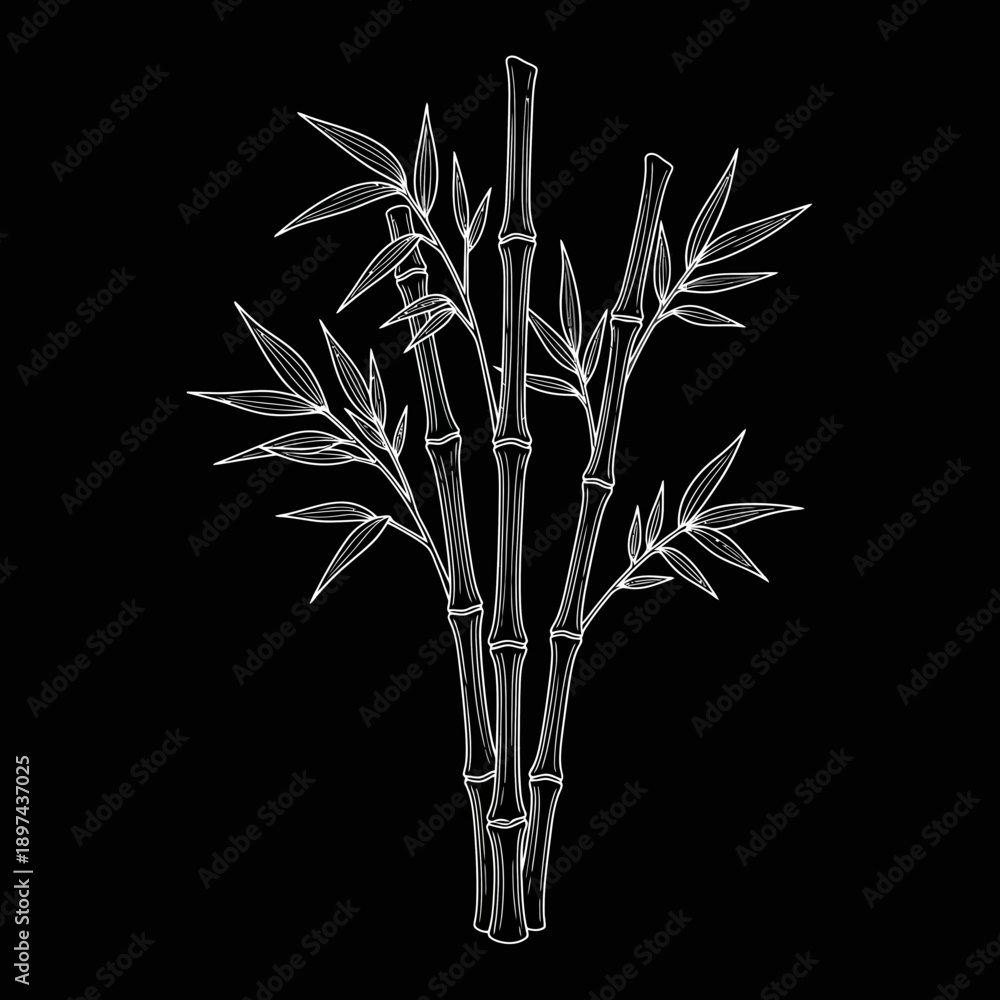 Obraz premium Elegant white bamboo stalks illustration on black background.