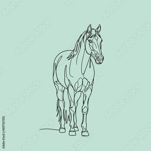 Elegant minimalist line art drawing of a majestic horse.