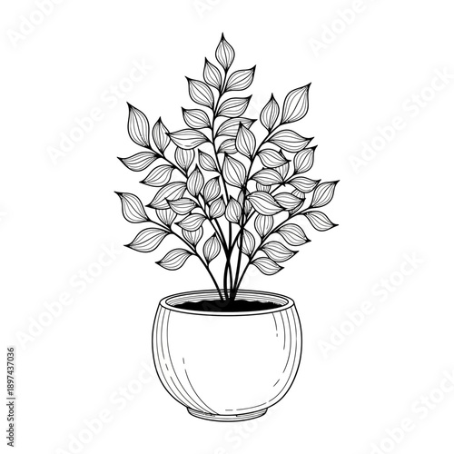 Elegant potted plant illustration in black and white.