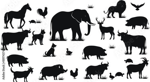 Black animal silhouette collection featuring elephant lion horse and farm livestock, wild and domestic creature elements set for nature zoo and rural design,
