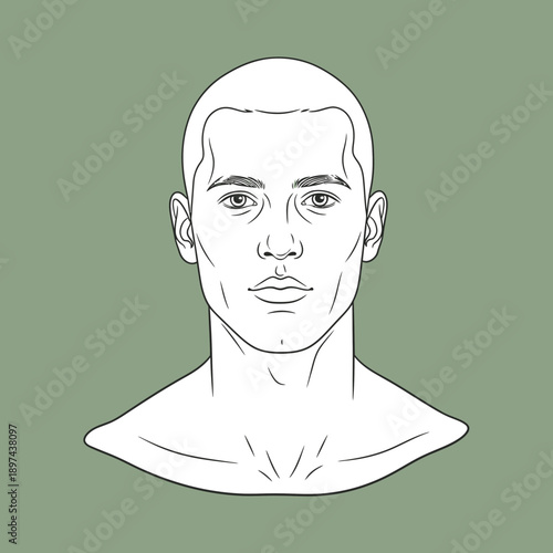 Outline of a mans head and shoulders front view.