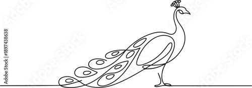 Single continuous line drawing of pretty peacock for company logo identity. Large beauty bird mascot concept for pet lover club icon. one line Icon drawing