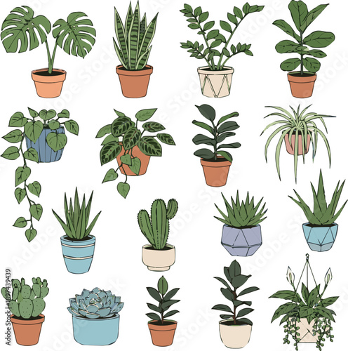 Created on Vector illustration set of houseplants in flowerpots isolated on white background
