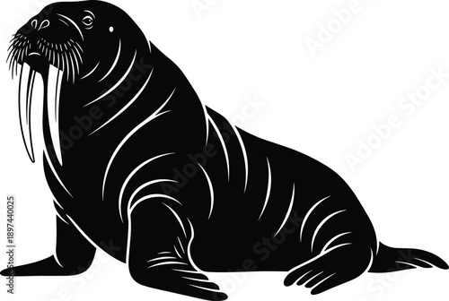 Stylized black and white walrus silhouette illustration with long tusks and heavy body, ideal for arctic wildlife logos, marine biology, and nature.
