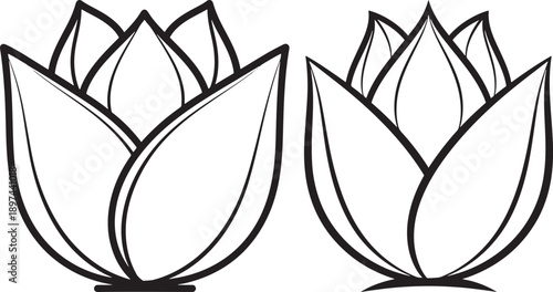 Stylized lotus flower illustration, simple floral outline, elegant blossom, black and white graphic