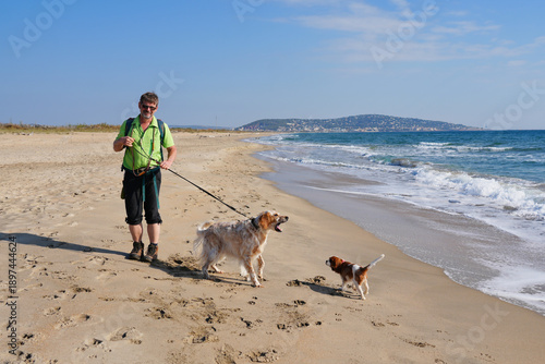 dog behaviour, unaware man with dog on leash which is barking at another smaller dog on the beach 