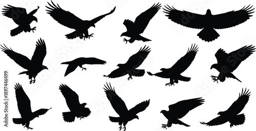 Would you like me to generate a similar descriptive string for a different set of keywords?