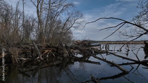 Abandoned iron works and wooden docks on Cayuga Lake in central New York State within the Montezuma wildlife preserve
