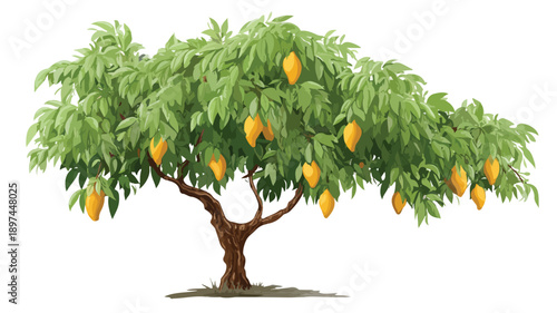Vibrant Cartoon Mango Tree Isolated on White Background Vector Illustration