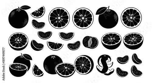 Tangerine fruit vector silhouettes set