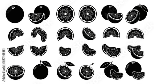 Orange Fruit Silhouette Collection