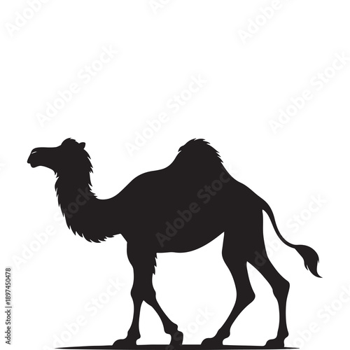 Camel Silhouette