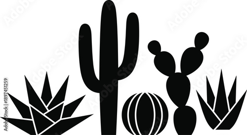 Minimal desert cactus and succulent silhouettes including saguaro agave barrel cactus isolated on white for botanical vector design