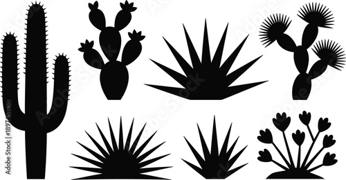 Minimal desert cactus and succulent silhouettes set featuring saguaro prickly pear agave plants isolated on white for botanical vector design