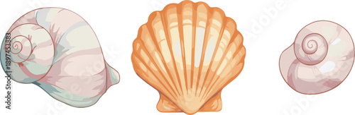 Hand Drawn Seashell Illustrations Set with Scallop and Spiral Shells, Soft Pastel Marine Elements Isolated on White Background