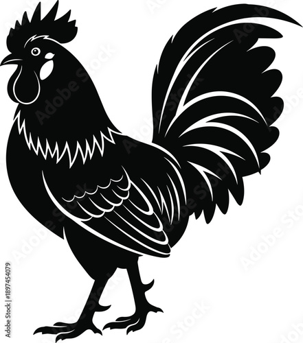 Vector, black, and, white, illustration, of, a, majestic, standing, rooster, with, detailed, feathers, and, comb, for, farm, poultry, livestock, and, rural, agricultural, design