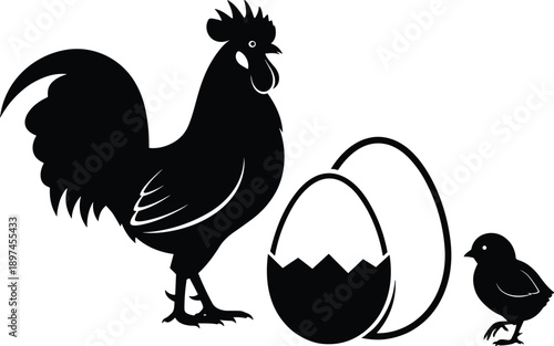 Vector, black, silhouette, illustration, of, a, rooster, next, to, a, cracked, egg, and, a, small, chick, for, farm, poultry, life, cycle, and, growth