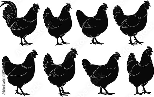 Vector, black, silhouette, illustration, of, eight, different, roosters, and, hens, standing, in, various, poses, for, farm, poultry, livestock, and, rural, agricultural, design