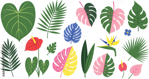 Colorful Tropical Botanical Leaf and Flower Collection with Monstera, Palm, Anthurium, and Exotic Jungle Plants in Flat Vector Style
