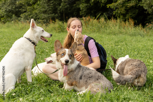 Wallpaper Mural Professional dog walker young woman with pack of dogs is sitting on green grass and enjoying walk with animals. training and upbringing and care of pets. dogs from the shelter. Torontodigital.ca