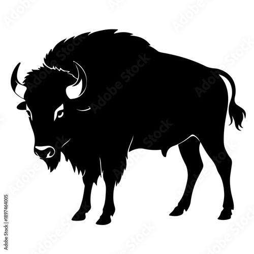 Bison buffalo vector silhouette