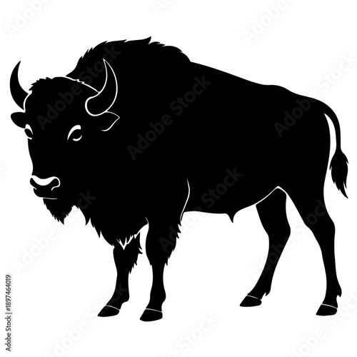 Bison buffalo vector silhouette
