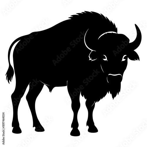 Bison buffalo vector silhouette