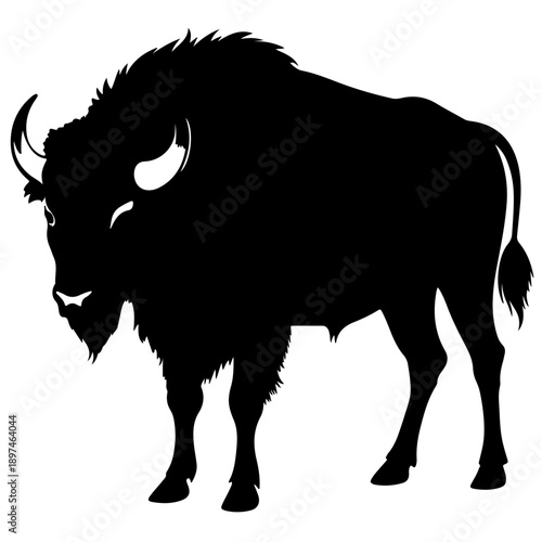 Bison buffalo vector silhouette