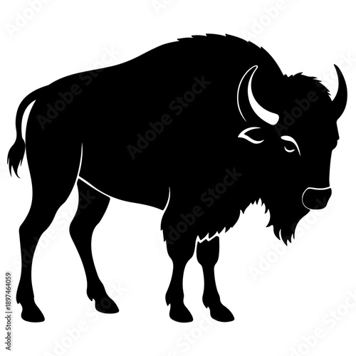 Bison buffalo vector silhouette